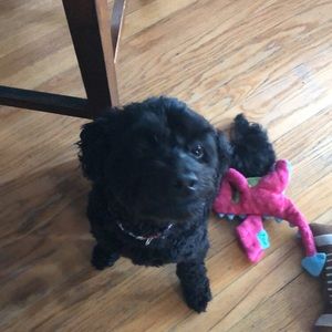 Meet your Posher, Jonathan